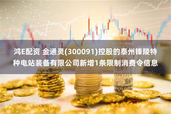 鸿E配资 金通灵(300091)控股的泰州锋陵特种电站装备有限公司新增1条限制消费令信息