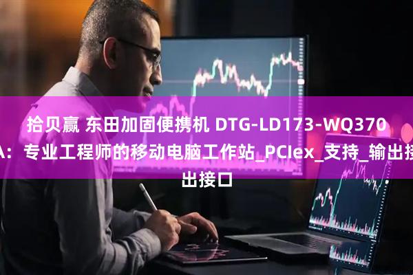 拾贝赢 东田加固便携机 DTG-LD173-WQ370MA：专业工程师的移动电脑工作站_PCIex_支持_输出接口