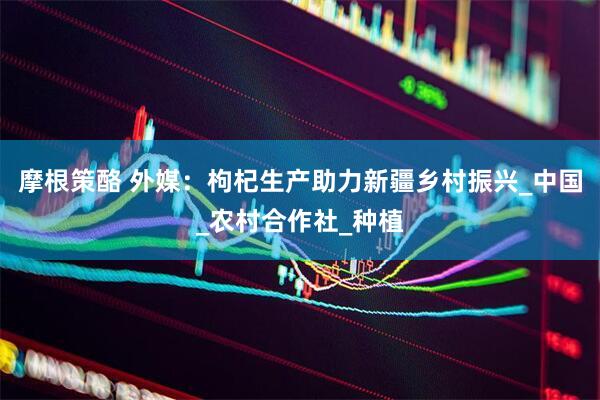摩根策酪 外媒：枸杞生产助力新疆乡村振兴_中国_农村合作社_种植