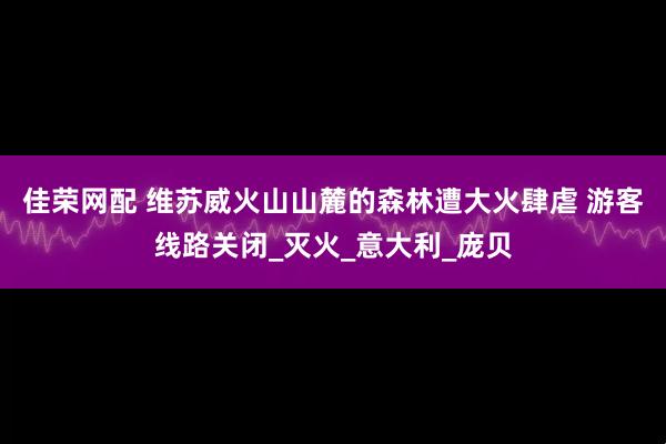 佳荣网配 维苏威火山山麓的森林遭大火肆虐 游客线路关闭_灭火_意大利_庞贝