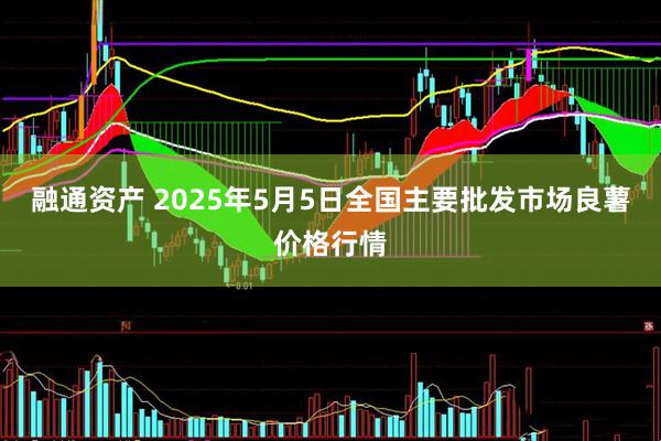 融通资产 2025年5月5日全国主要批发市场良薯价格行情