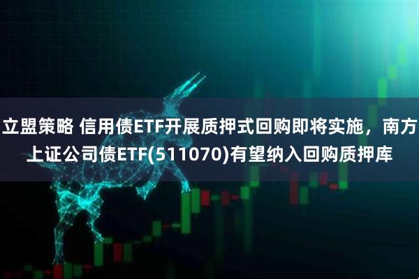 立盟策略 信用债ETF开展质押式回购即将实施,南方上证公司债ETF(511070)有望纳入回购质押库