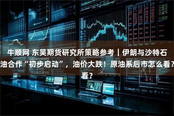 牛顺网 东吴期货研究所策略参考｜伊朗与沙特石油合作“初步启动”，油价大跌！原油系后市怎么看？