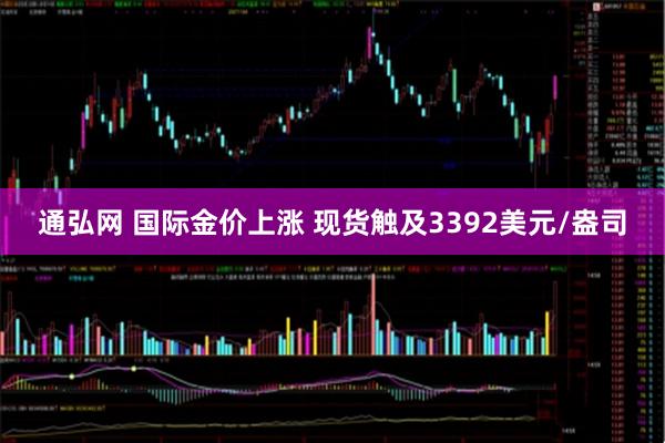 通弘网 国际金价上涨 现货触及3392美元/盎司