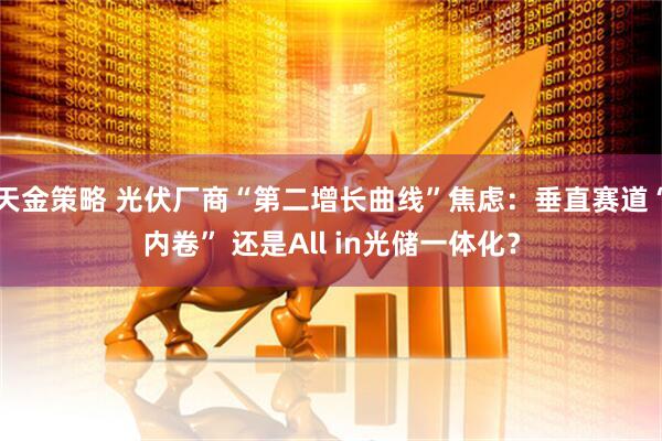 天金策略 光伏厂商“第二增长曲线”焦虑：垂直赛道“内卷” 还是All in光储一体化？